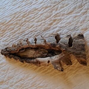 Hand craved aspen pine tree